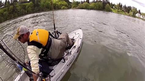 boat hits fisherman in kayak